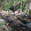 DSC00103