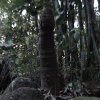DSC00262