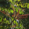 DSC00440