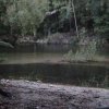 DSC00453