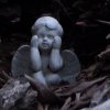 DSC00253